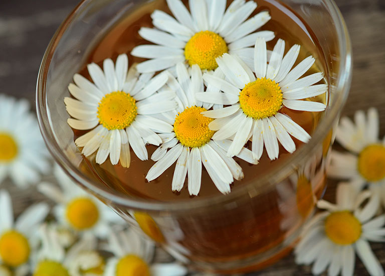 Kamillenblüten schwimmen in Gefäß